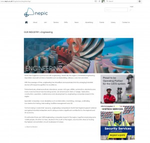 NEPIC Vistech Services