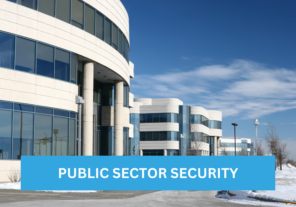 public sector security