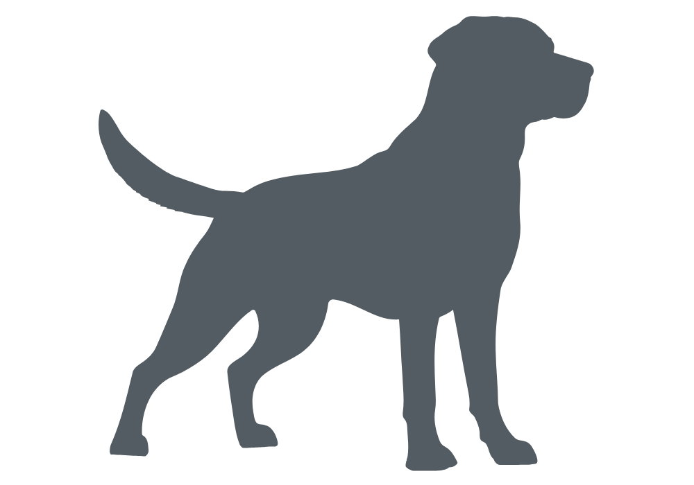 NASDU dog handling course
